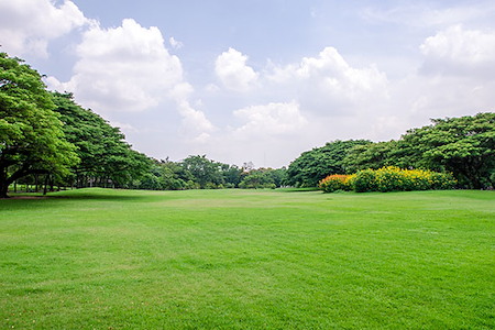 How to Keep Your Lawn Green During Oklahoma’s Hot Summers
