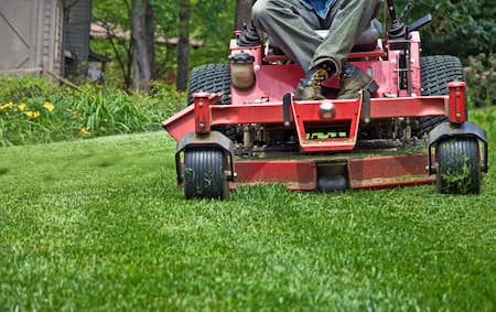 3 Simple Things Homeowners Can Do to Keep Their Lawn Healthier Between Mowing Visits