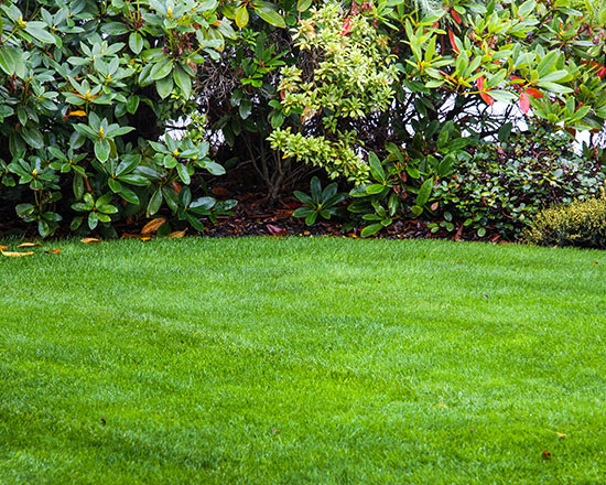 Premier lawn care service edmond