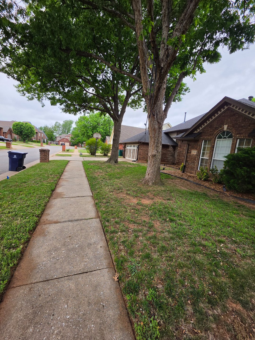 Seasonal Spring Yard Cleanup project Completed in Edmond Oklahoma